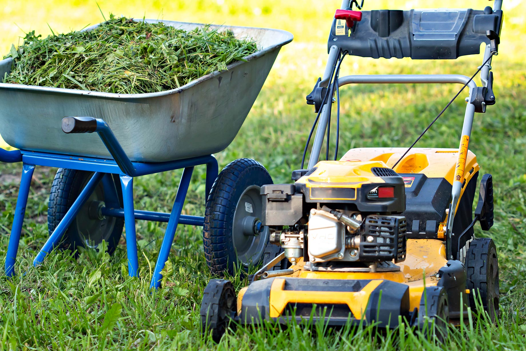 Lawn Mower and Wheelbarrow Full of Grass