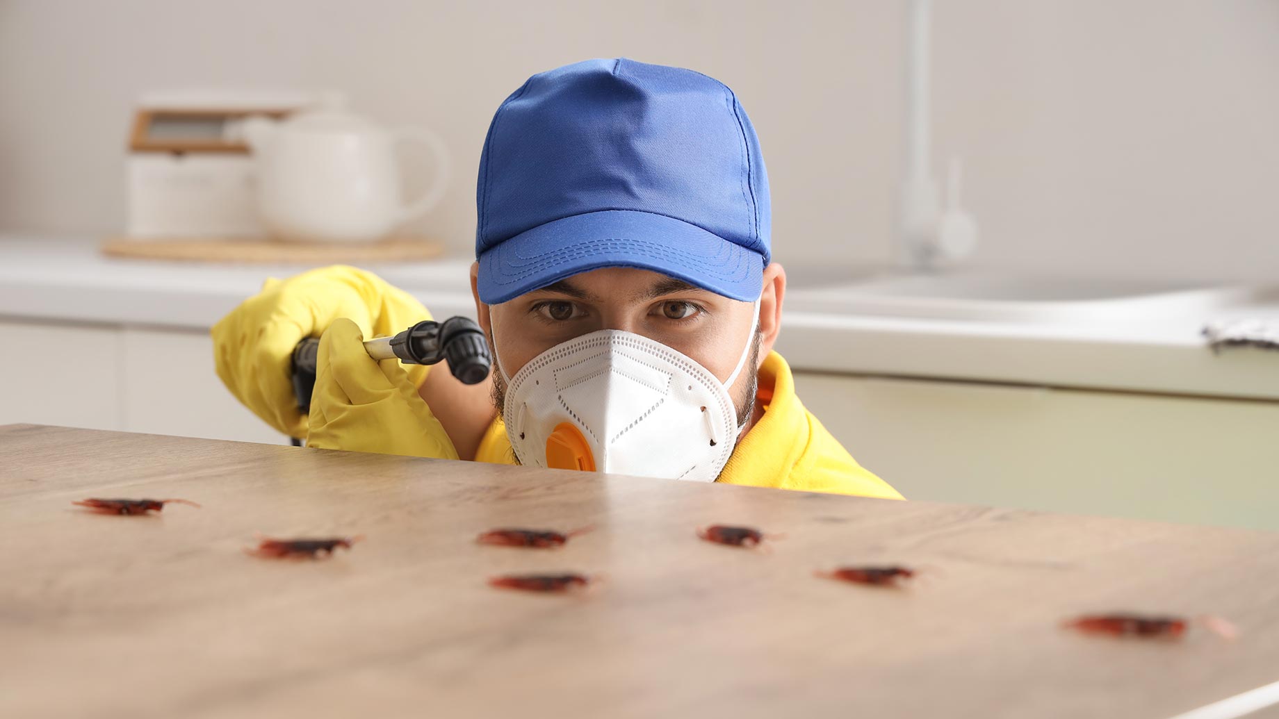Pest Control Professional in Action