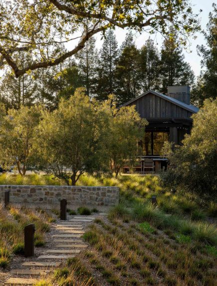 Vineyard Ridge Estate - Woodside, CA, USA - 2