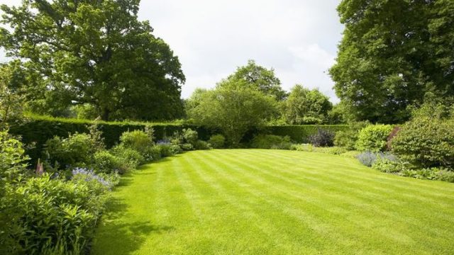 Low-Maintenance Outdoor Upgrades for Busy Homeowners