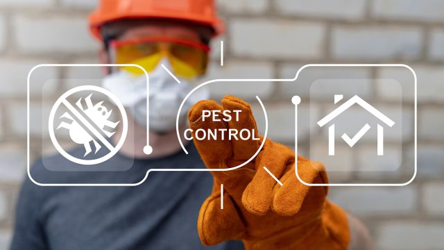 Pest Control