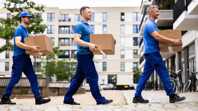 Professional Movers Carrying Boxes