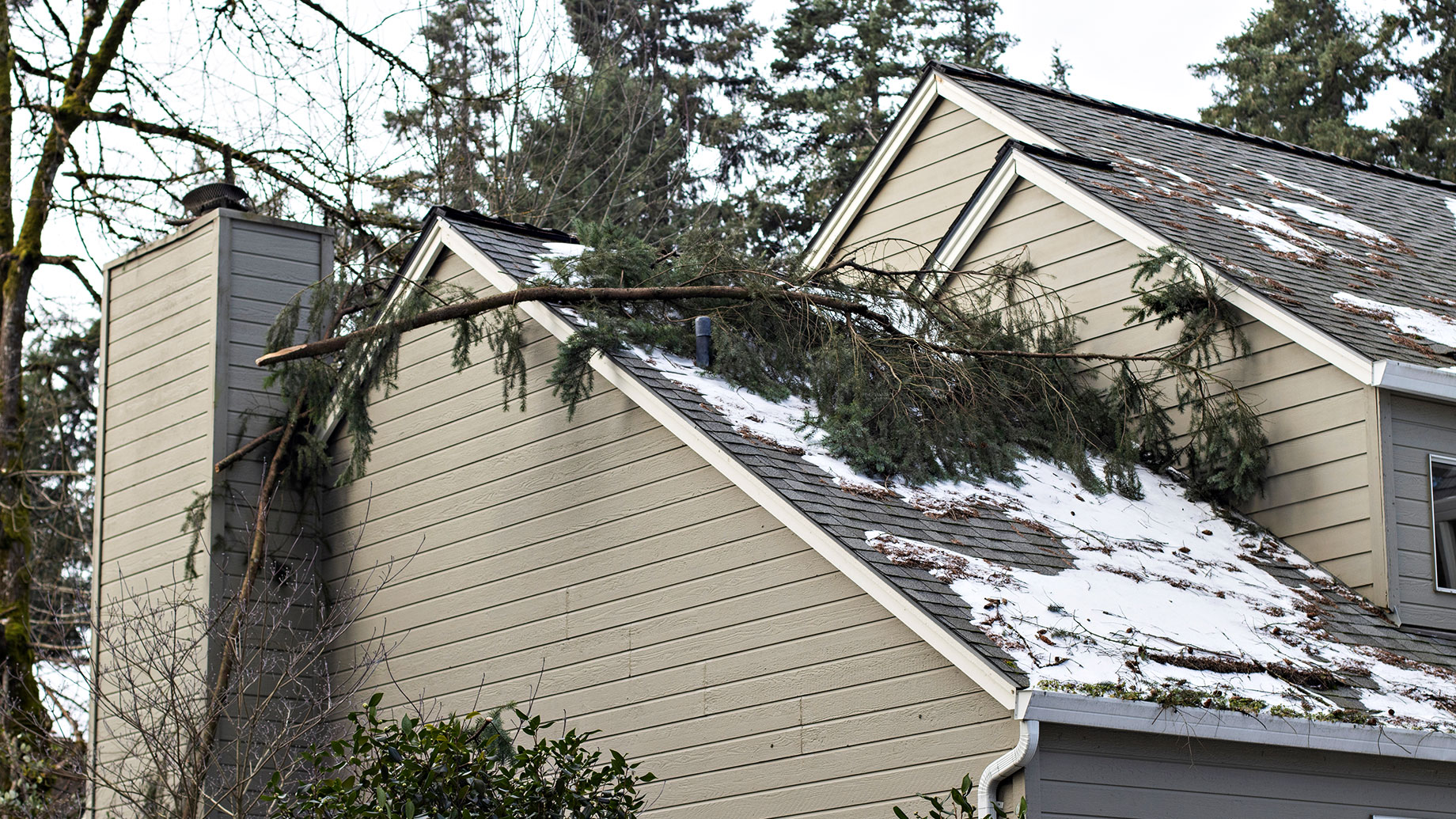 Winter Roof Damage with Fallen Tree Branches