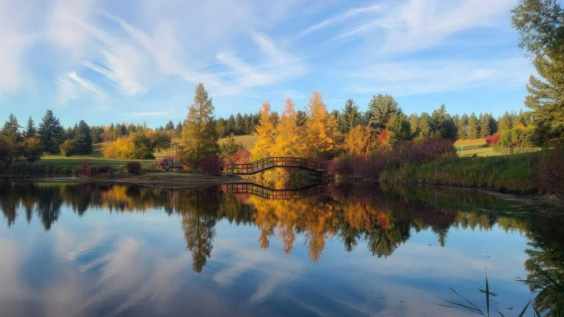 41320 Range Road 232, Rural Lacombe County, AB, Canada – 98