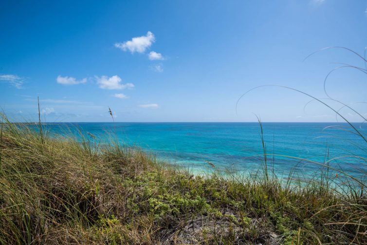 Adventure Cliff - 443 Columbus Beach Cottage, Ambergris Cay, Turks & Caicos Islands - 25