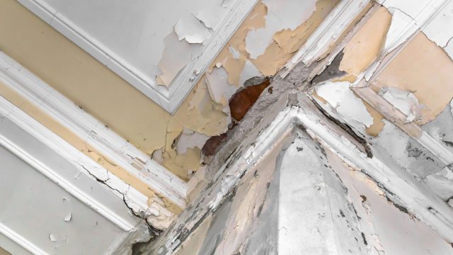 Damage to Ceiling and Walls from a Leaking Roof