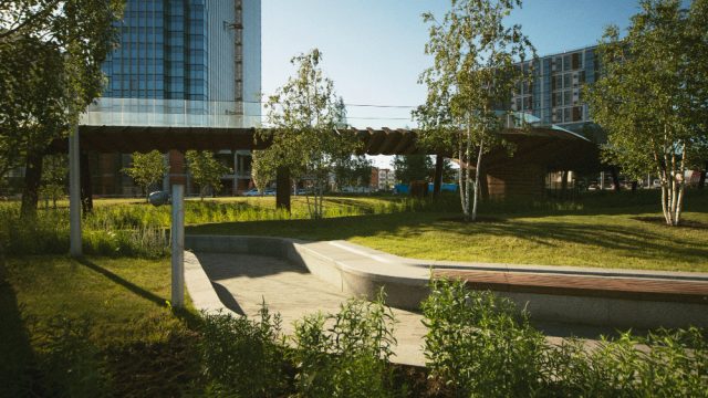 Nature Meets Architecture