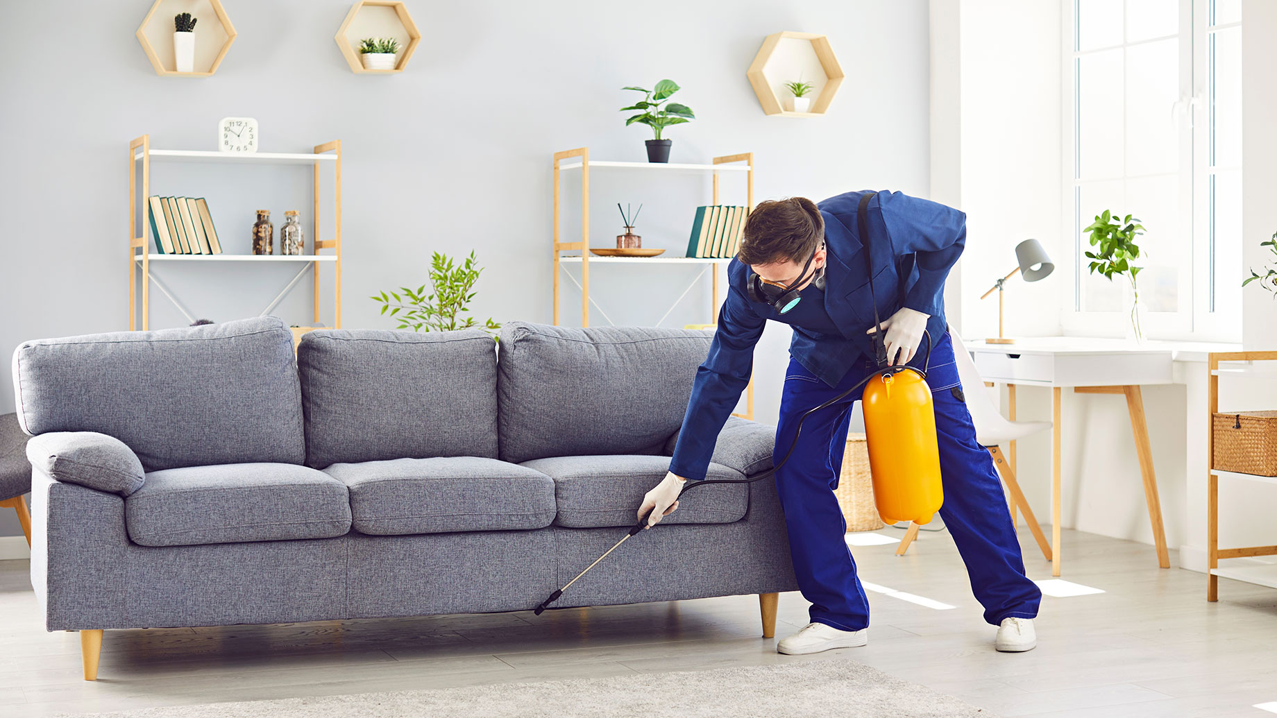 Pest Control Service Worker Sprays Furniture Inside House