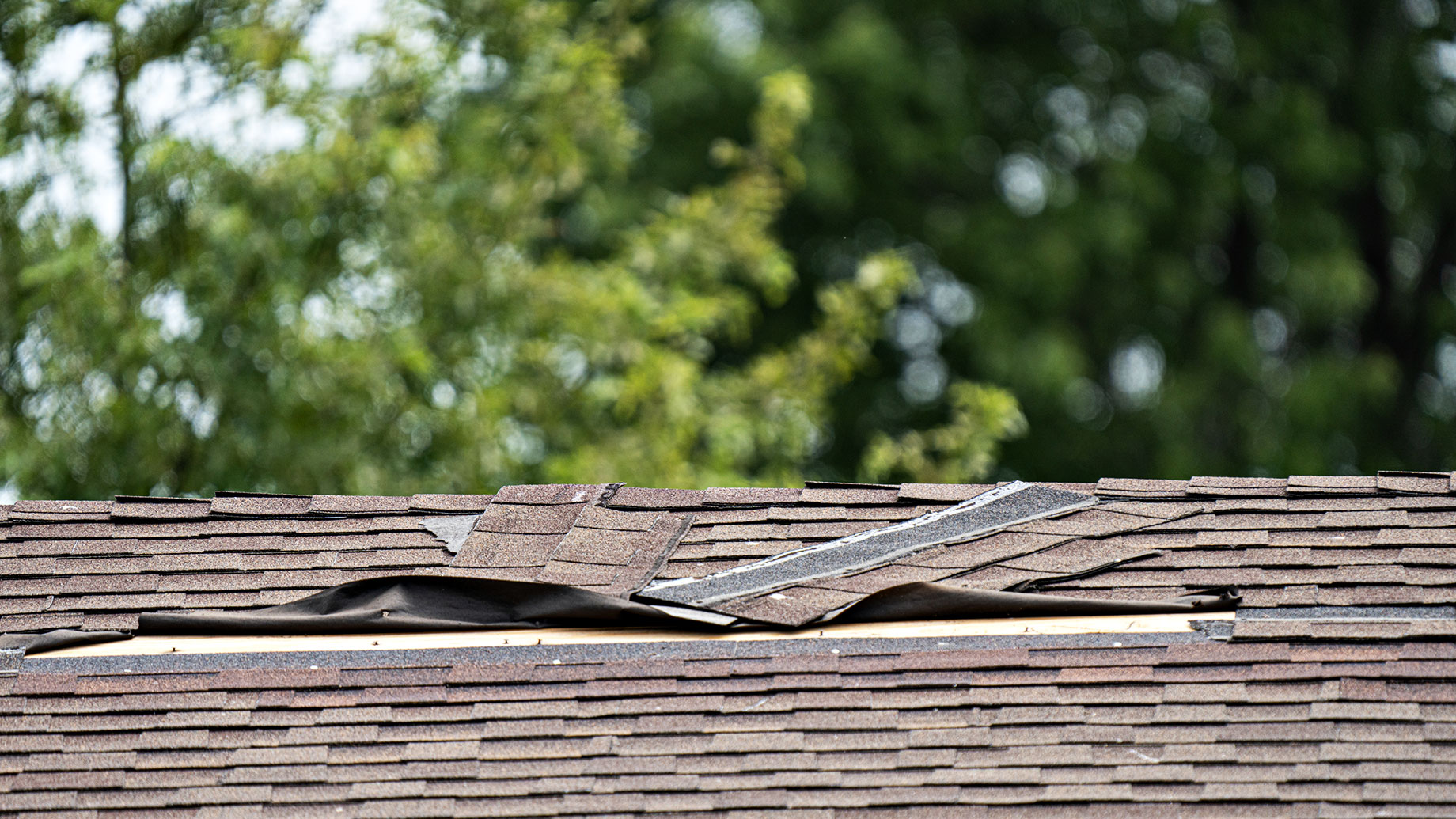 Roof Shingles Damaged by High Winds