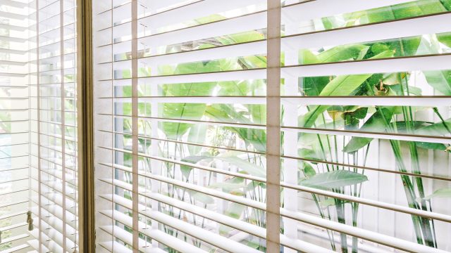 Window with Blinds and a View of Plants