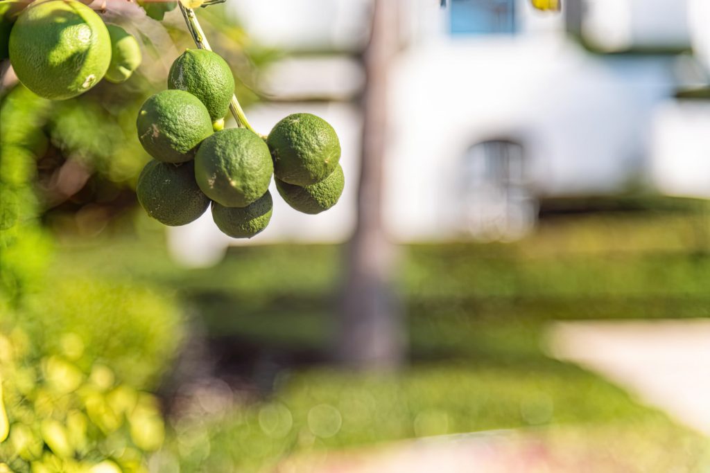 Mandalay Estate - Providenciales, Turks and Caicos Islands - 72