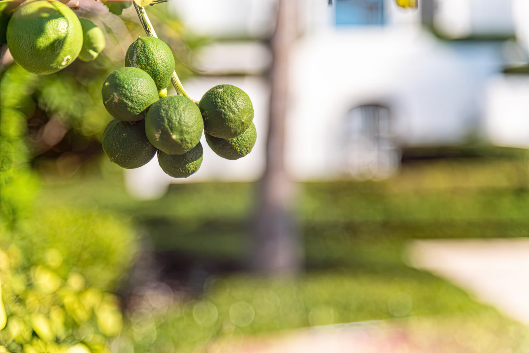 Mandalay Estate – Providenciales, Turks and Caicos Islands – 72