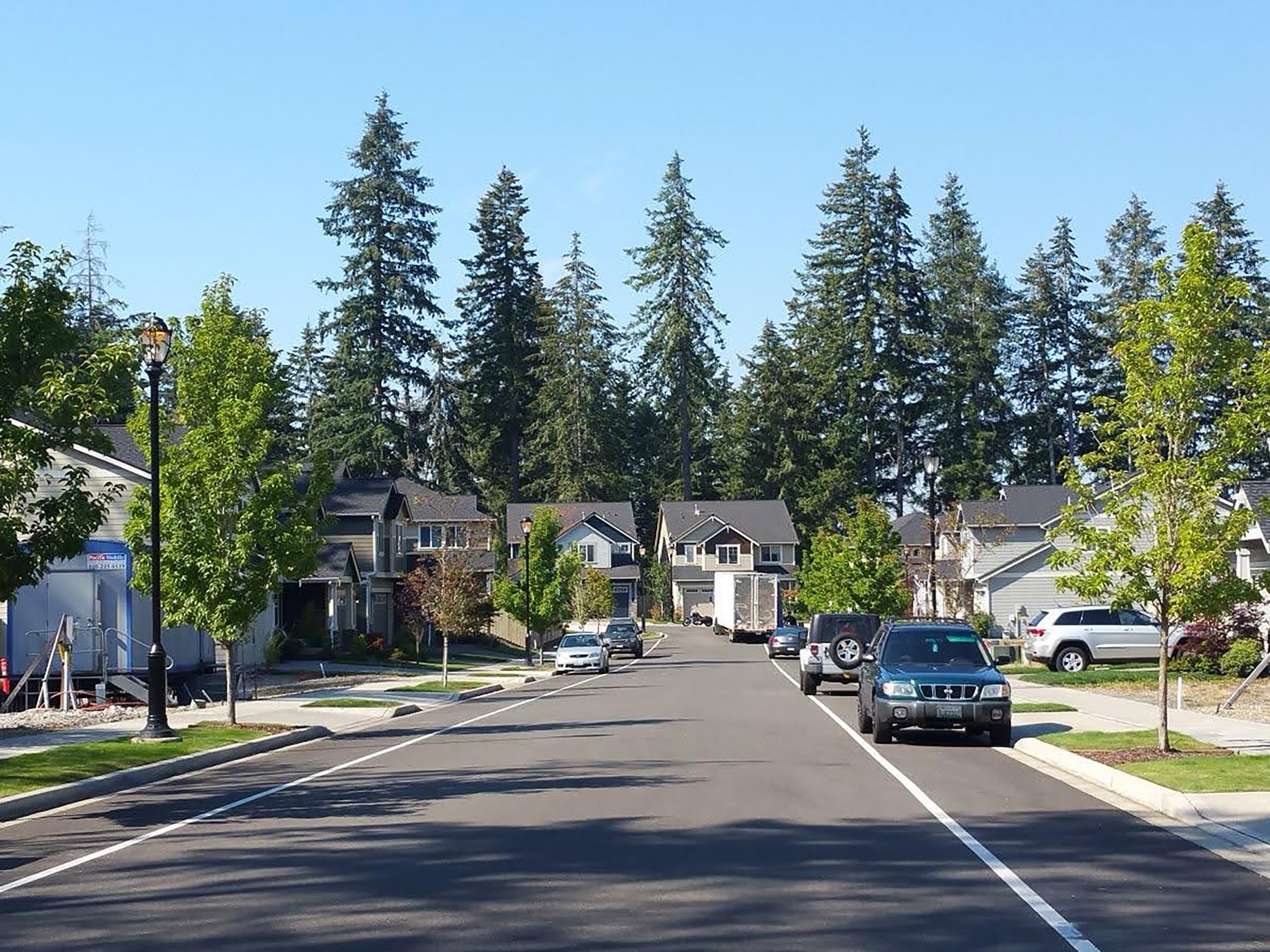 A quiet, paved suburban street lined with modern homes and tall evergreen trees, representing a typical Pacific Northwest residential neighborhood managed by professionals.