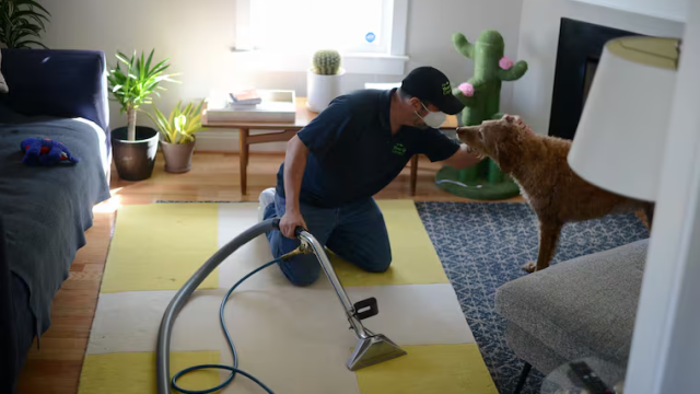 How Local Expertise Makes a Difference in Philadelphia Rug Care