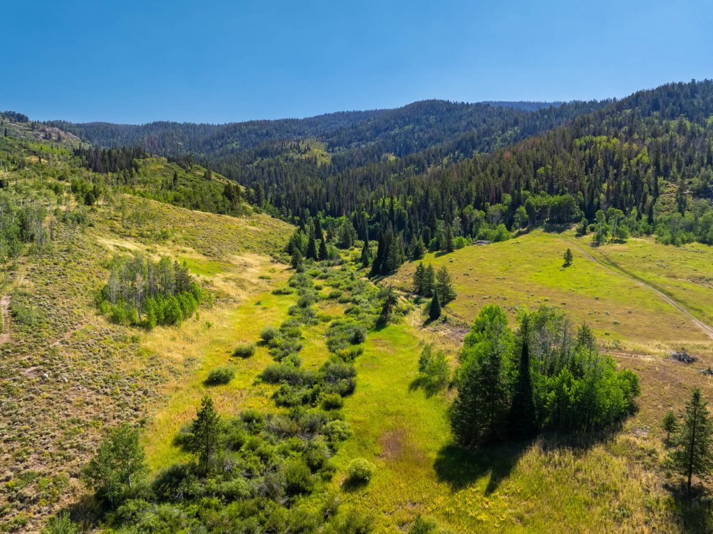 Emma Lake Ranch - 17850 County Road 16, Oak Creek, CO, USA - 74