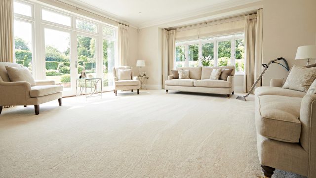 A sunlit luxury living room featuring a freshly cleaned beige carpet with visible grooming lines, demonstrating the results of professional care. A carpet cleaning wand is propped against the wall in the background.