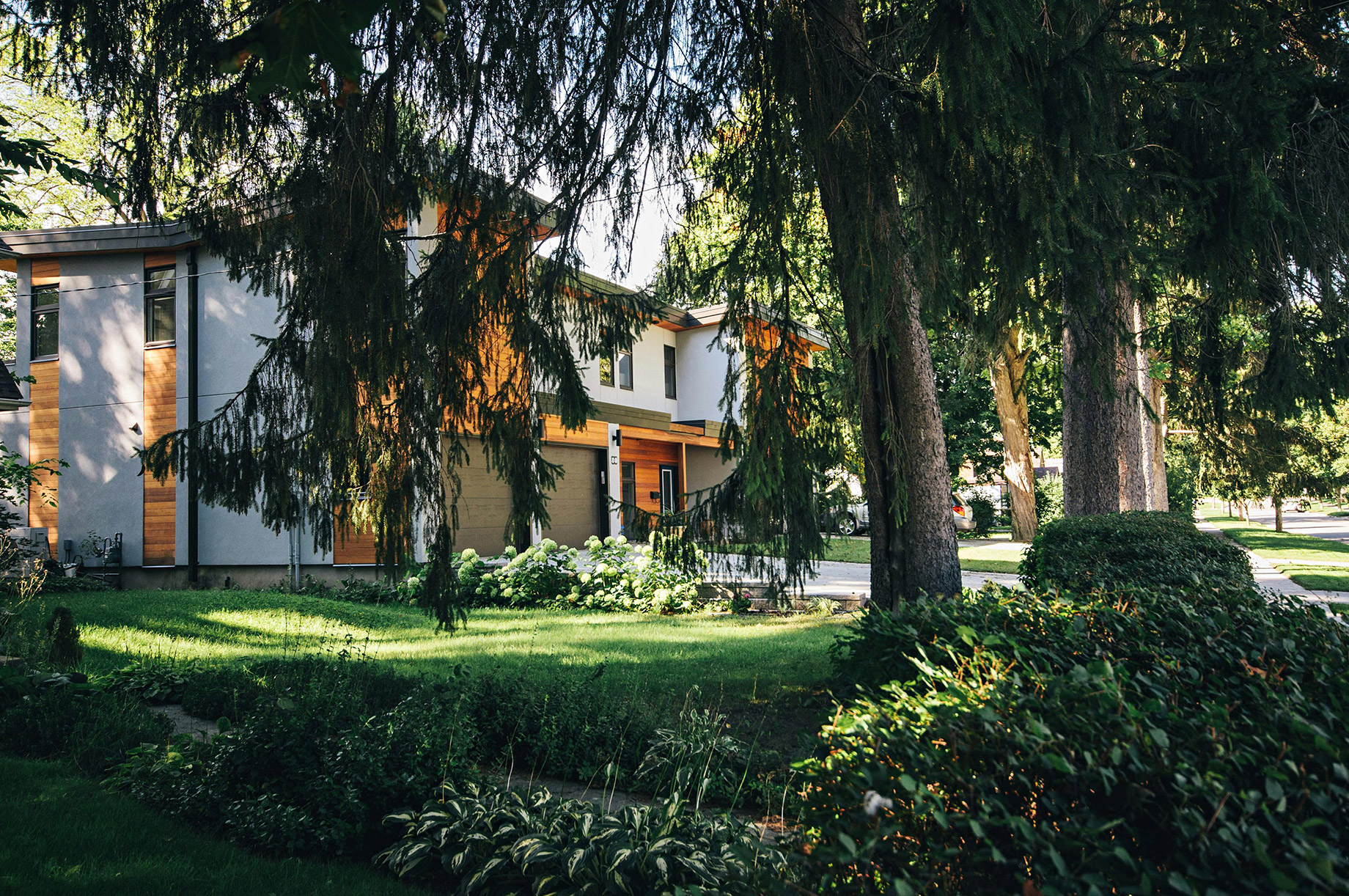 A modern two-story home with a gray exterior and warm wood paneling, partially framed by large, mature evergreen trees. The foreground features a lush, manicured green lawn and dense garden shrubs illuminated by dappled sunlight.