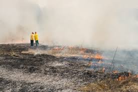 Does renters insurance cover fire damage?