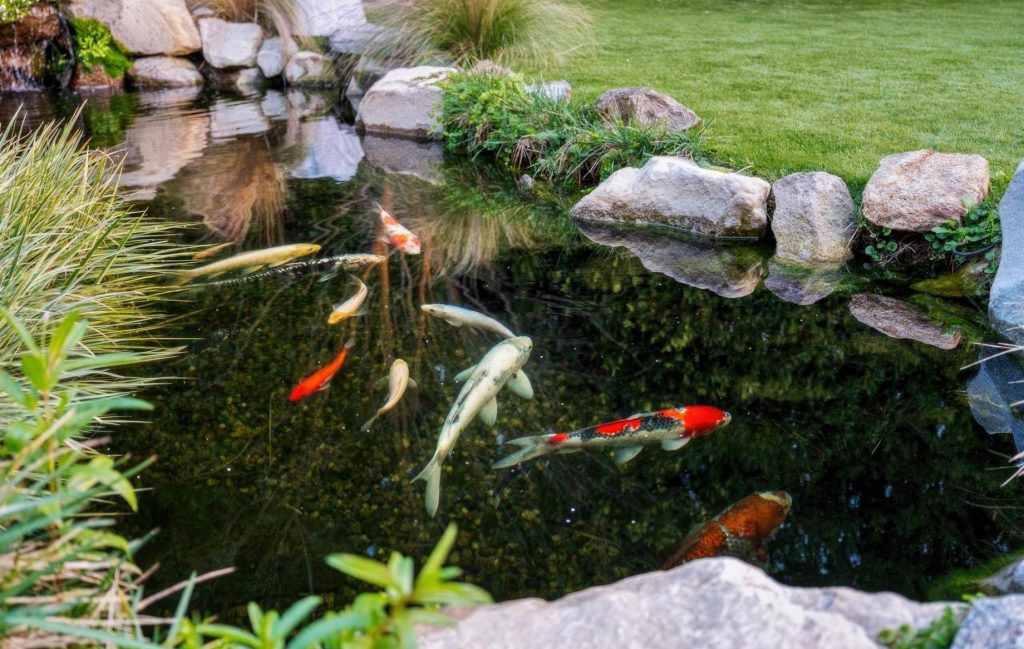 2261 Hercules Dr, Los Angeles, CA, USA - 10