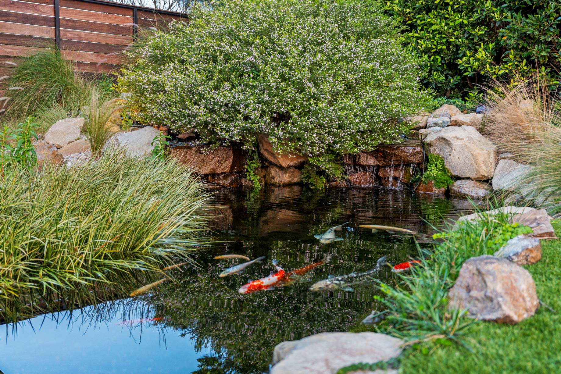 2261 Hercules Dr, Los Angeles, CA, USA – 9