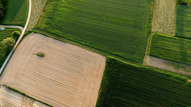 Aerial View of Farm Field