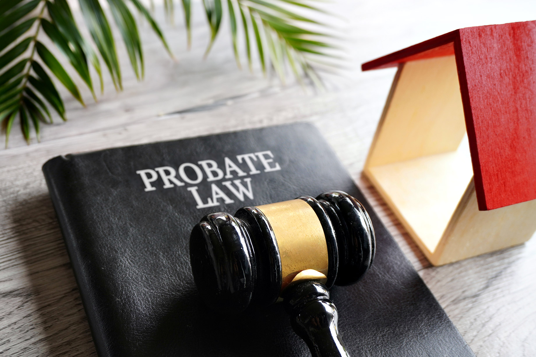 Probate Law in Florida, USA