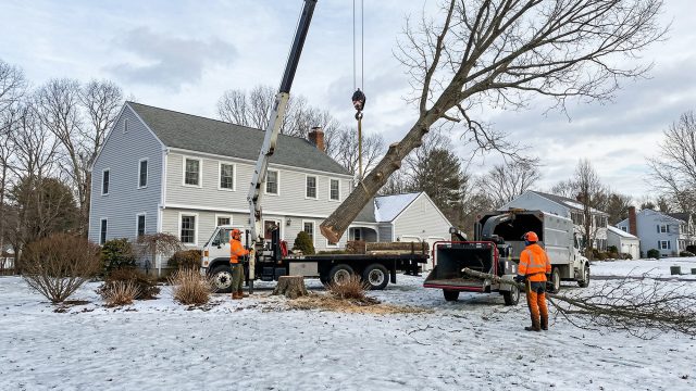 A large hydraulic crane lifts a tree trunk onto a flatbed truck in a snowy residential neighborhood. Men in high-visibility orange safety gear guide the trunk, with a wood chipper truck present.