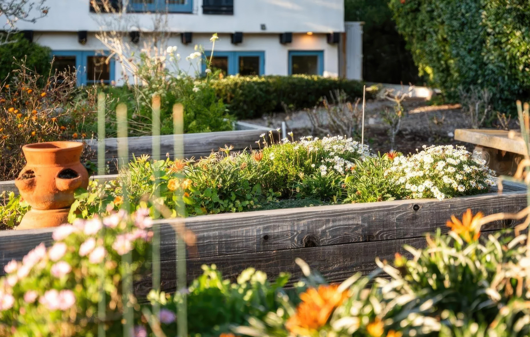 The Muir Garden Estate – 1205 Muirlands Dr, La Jolla, CA, USA – 18