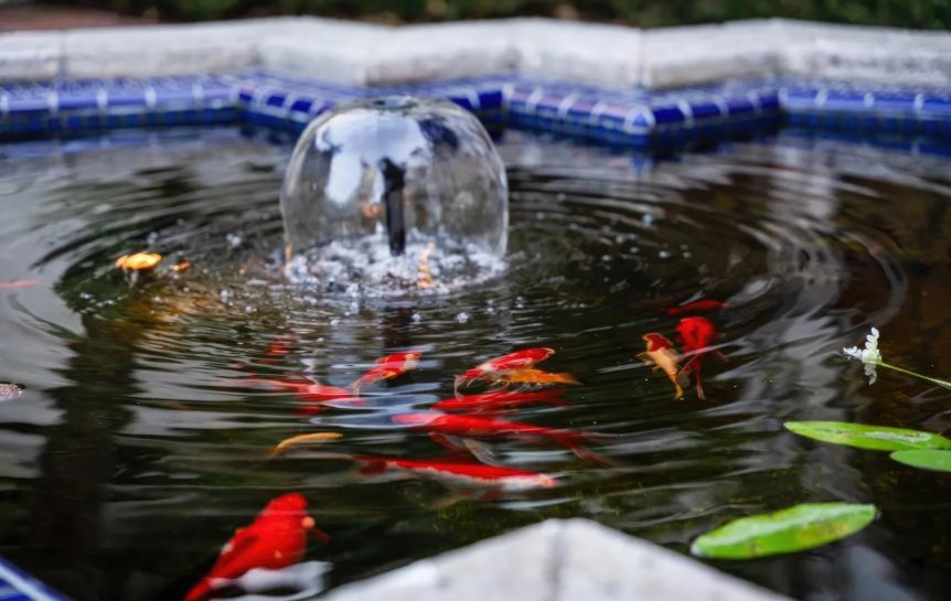 The Muir Garden Estate - 1205 Muirlands Dr, La Jolla, CA, USA - 36