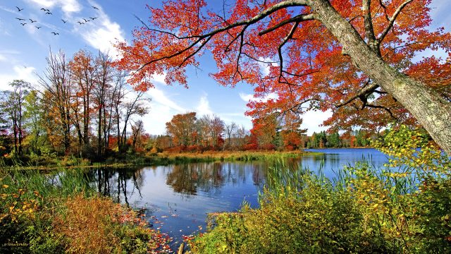 Pennsylvania Lake Fall Foliage in the Pocono Mountains Region