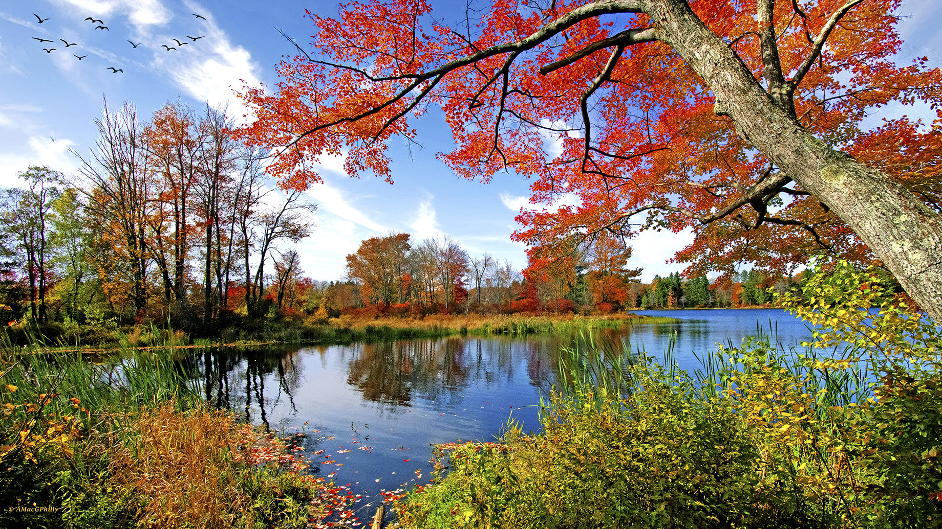 Pennsylvania Lake Fall Foliage in the Pocono Mountains Region