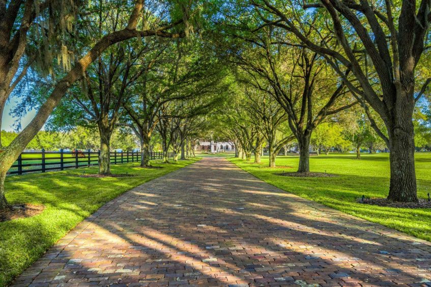 The Oaks Estate - 12321 Fort King Highway, Tampa, FL, USA - 4