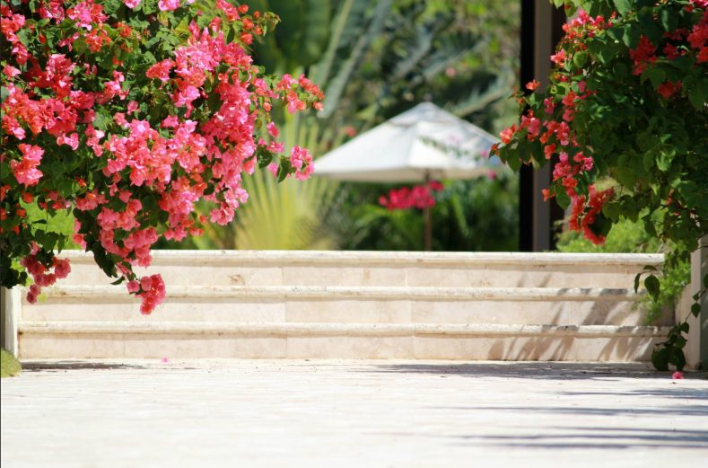 Villa Windward - Sea Horse Ranch, Cabarete, Dominican Republic - 18