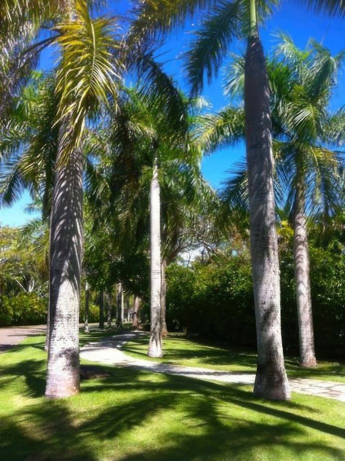 Villa Windward - Sea Horse Ranch, Cabarete, Dominican Republic - 3