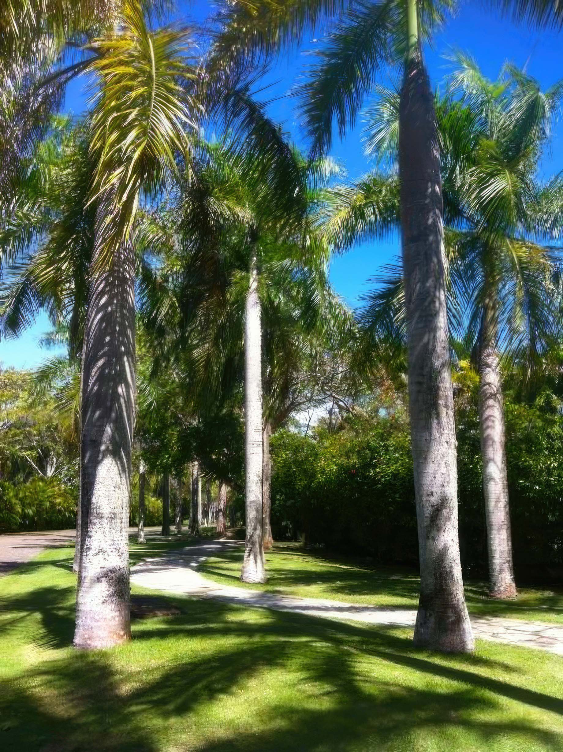 Villa Windward – Sea Horse Ranch, Cabarete, Dominican Republic – 3