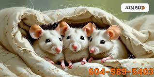images (15)
