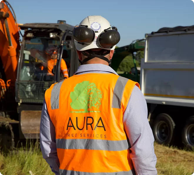 Aura Tree Services