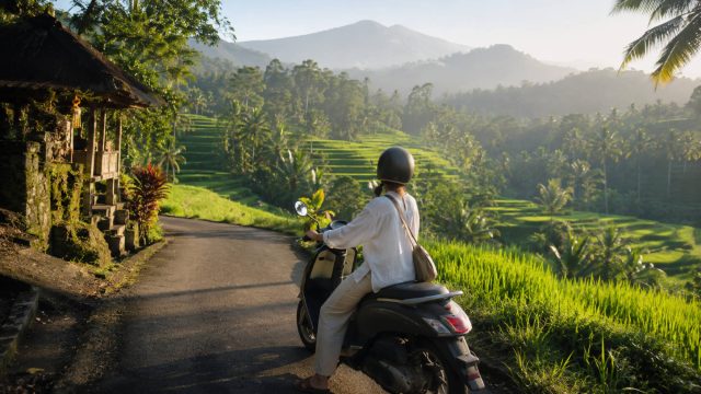 Traveler on a motorbike paused beside a narrow road overlooking lush Bali rice terraces and misty mountains in soft morning light.