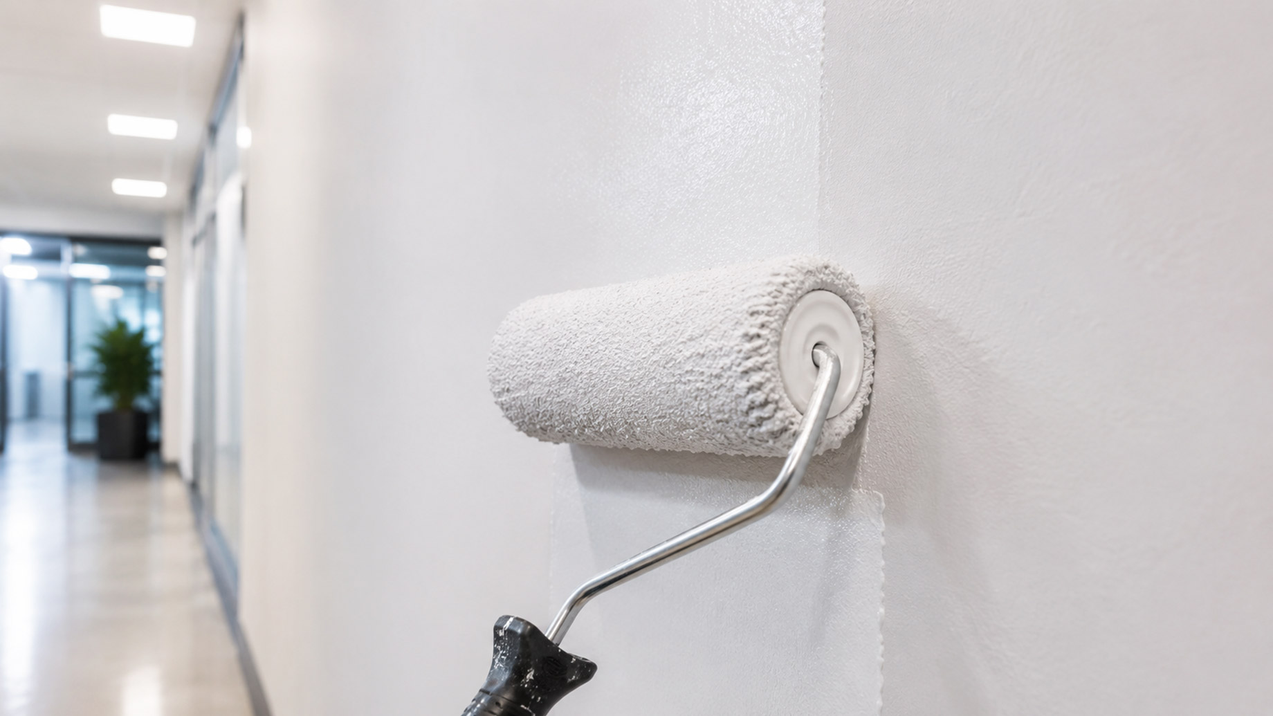 Close-up of a paint roller applying a fresh white finish to a commercial hallway wall with a clean, modern corridor in the background.