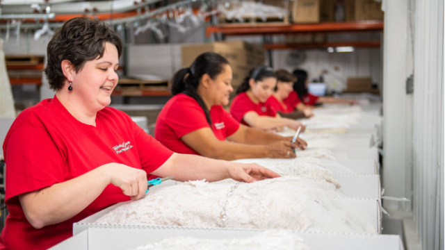 Top 3 Wedding Dress Preservation Companies in the United States
