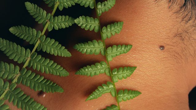Close-up of a small raised skin tag on the side of a man’s neck, partially framed by green fern leaves.