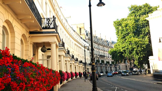 Elegant London residential street near Knightsbridge with white period buildings, black railings, red flowers, parked cars, and mature trees.