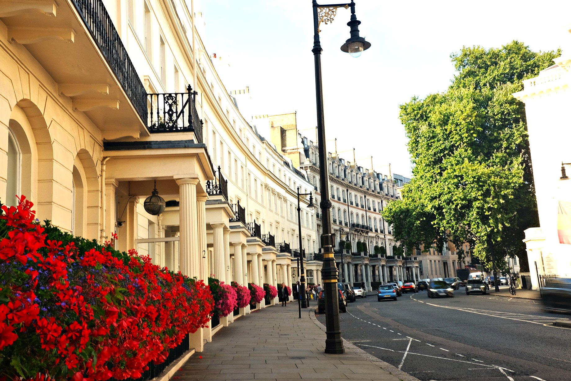 Elegant London residential street near Knightsbridge with white period buildings, black railings, red flowers, parked cars, and mature trees.