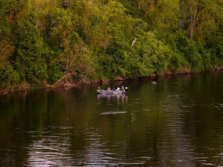 Riverscape - 2710 River Rd, New Hope, PA, USA - 94 Riverscape - 2710 River Rd, New Hope, PA, USA - 94