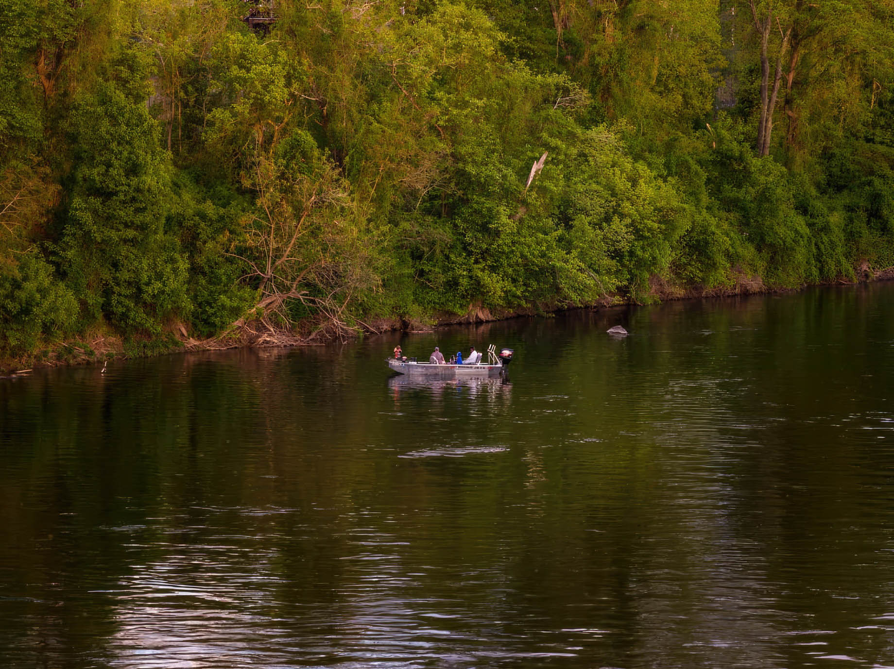 Riverscape – 2710 River Rd, New Hope, PA, USA – 94