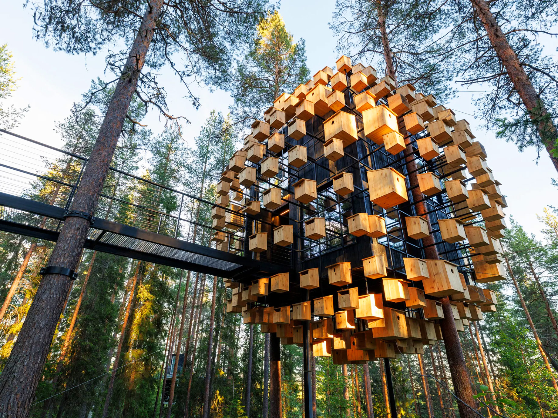 Treehotel Biosphere - Harads, Sweden
