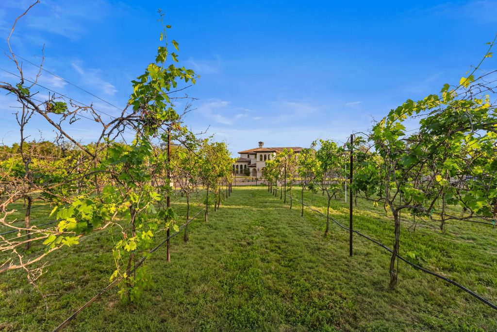 Villa Sul Lago - 15201 Fm 2769, Volente, TX, USA - 79 Villa Sul Lago - 15201 Fm 2769, Volente, TX, USA - 79