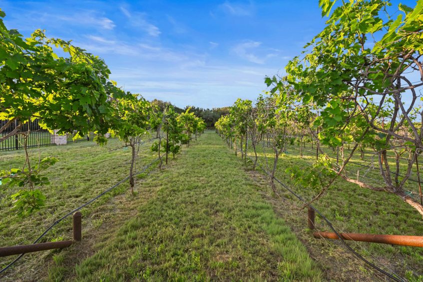 Villa Sul Lago - 15201 Fm 2769, Volente, TX, USA - 81 Villa Sul Lago - 15201 Fm 2769, Volente, TX, USA - 81