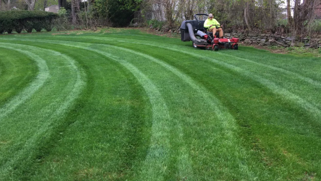 Common Lawn Problems a Professional Lawn Care Service Can Solve