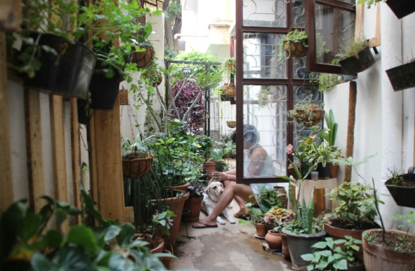 The Art of the Curated Garden in Luxury Home Design